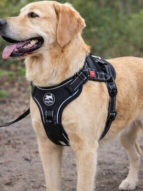 PoyPet XL Dog Harness Black Reflective Mesh No-Pull Adjustable Vest Black